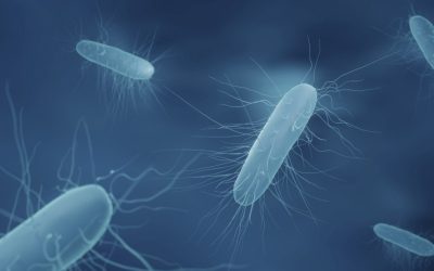 Tracking down and eliminating Listeria