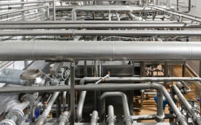 The Hidden Threat of Biofilms in Dairy Processing: A Case Study on Product Recalls