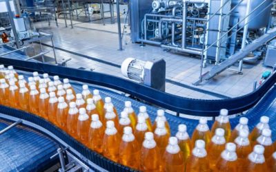 The Hidden Risks of Biofilms in Food and Beverage Processing
